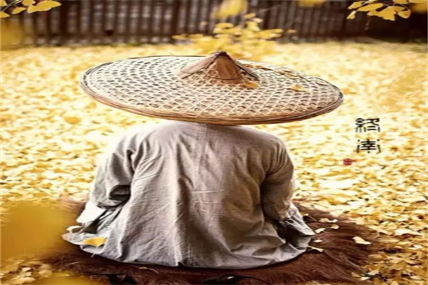 网上炒股配资公司：高杠杆下的风险与机遇