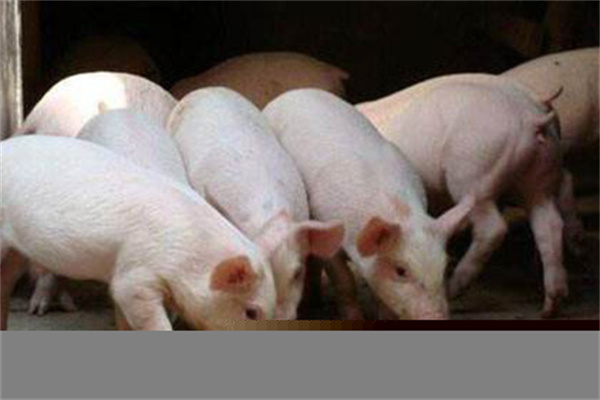 WTI 5月原油期货收跌184%