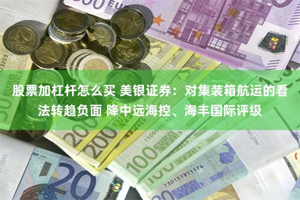 股票加杠杆怎么买 美银证券：对集装箱航运的看法转趋负面 降中远海控、海丰国际评级
