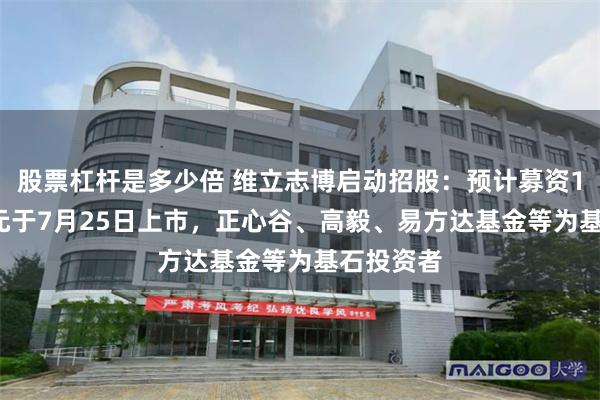 股票杠杆是多少倍 维立志博启动招股：预计募资10.7亿港元于7月25日上市，正心谷、高毅、易方达基金等为基石投资者