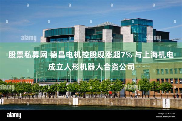 股票私募网 德昌电机控股现涨超7% 与上海机电成立人形机器人合资公司
