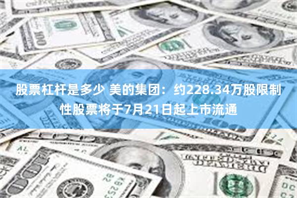 股票杠杆是多少 美的集团：约228.34万股限制性股票将于7月21日起上市流通