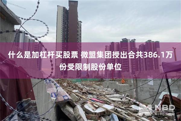 什么是加杠杆买股票 微盟集团授出合共386.1万份受限制股份单位