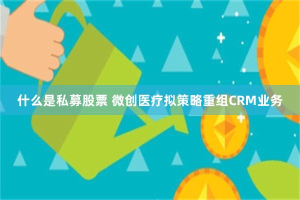 什么是私募股票 微创医疗拟策略重组CRM业务