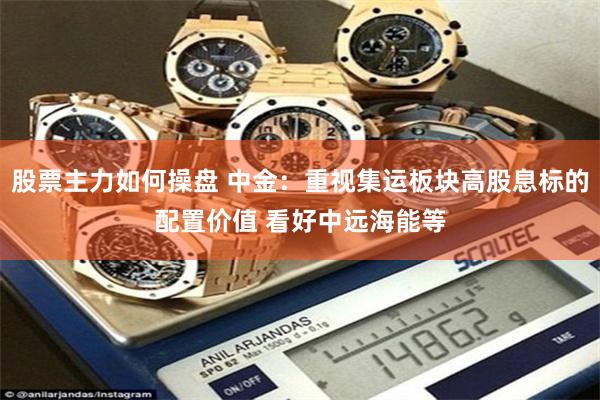 股票主力如何操盘 中金：重视集运板块高股息标的配置价值 看好中远海能等
