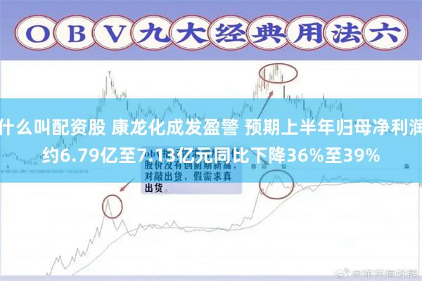 什么叫配资股 康龙化成发盈警 预期上半年归母净利润约6.79亿至7.13亿元同比下降36%至39%