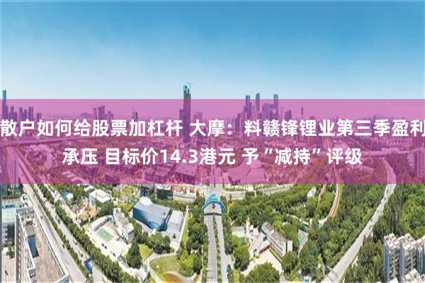 散户如何给股票加杠杆 大摩：料赣锋锂业第三季盈利承压 目标价14.3港元 予“减持”评级