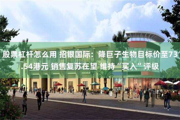 股票杠杆怎么用 招银国际：降巨子生物目标价至73.54港元 销售复苏在望 维持“买入”评级