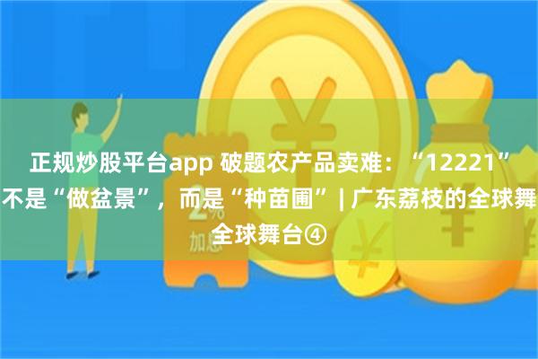 正规炒股平台app 破题农产品卖难：“12221”探索不是“做盆景”，而是“种苗圃” | 广东荔枝的全球舞台④