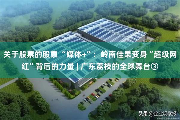 关于股票的股票 “媒体+”：岭南佳果变身“超级网红”背后的力量 | 广东荔枝的全球舞台③