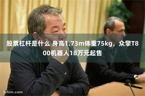 股票杠杆是什么 身高1.73m体重75kg，众擎T800机器人18万元起售