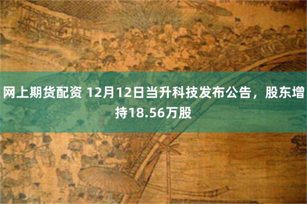 网上期货配资 12月12日当升科技发布公告，股东增持18.56万股