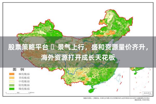 股票策略平台 ​景气上行，盛和资源量价齐升，海外资源打开成长天花板