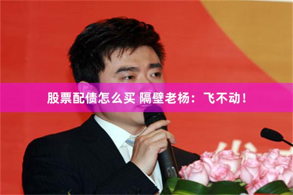 股票配债怎么买 隔壁老杨：飞不动！