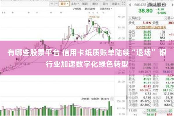 有哪些股票平台 信用卡纸质账单陆续“退场” 银行业加速数字化绿色转型