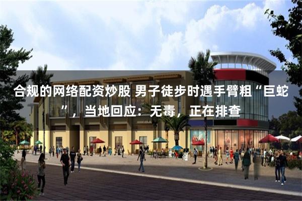 合规的网络配资炒股 男子徒步时遇手臂粗“巨蛇”，当地回应：无毒，正在排查
