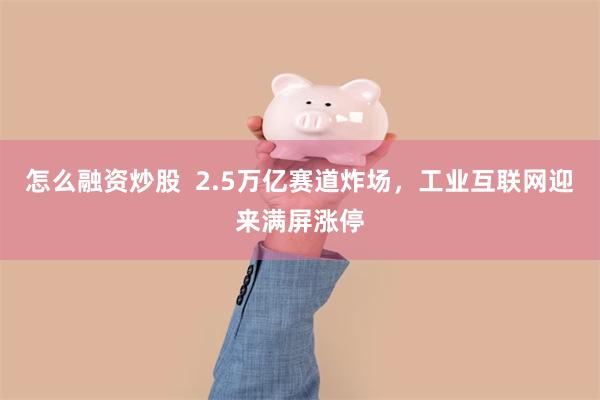 怎么融资炒股  2.5万亿赛道炸场，工业互联网迎来满屏涨停