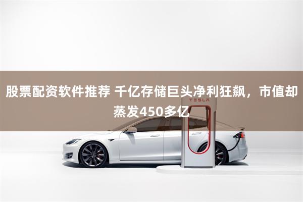 股票配资软件推荐 千亿存储巨头净利狂飙，市值却蒸发450多亿