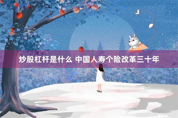 炒股杠杆是什么 中国人寿个险改革三十年