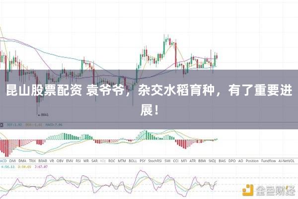 昆山股票配资 袁爷爷，杂交水稻育种，有了重要进展！