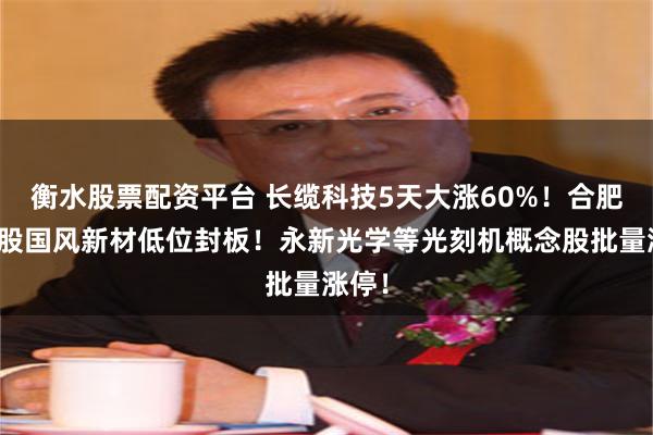 衡水股票配资平台 长缆科技5天大涨60%！合肥国资股国风新材低位封板！永新光学等光刻机概念股批量涨停！