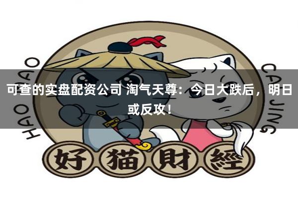 可查的实盘配资公司 淘气天尊：今日大跌后，明日或反攻！