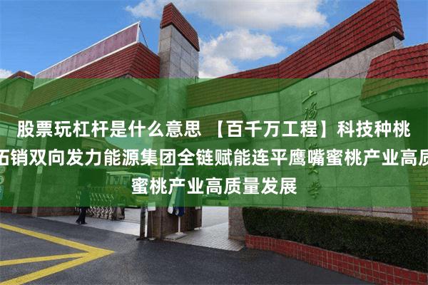 股票玩杠杆是什么意思 【百千万工程】科技种桃与直播拓销双向发力　能源集团全链赋能连平鹰嘴蜜桃产业高质量发展