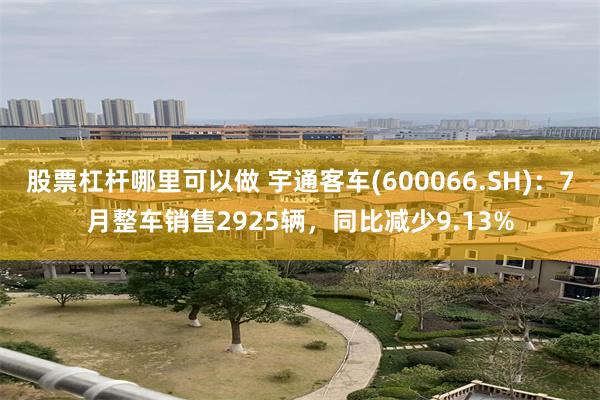股票杠杆哪里可以做 宇通客车(600066.SH)：7月整车销售2925辆，同比减少9.13%