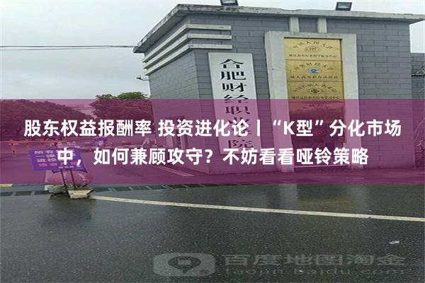 股东权益报酬率 投资进化论丨“K型”分化市场中，如何兼顾攻守？不妨看看哑铃策略