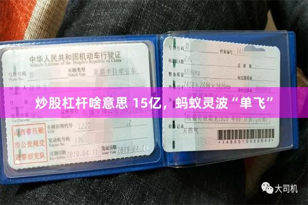 炒股杠杆啥意思 15亿，蚂蚁灵波“单飞”