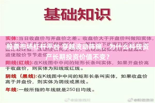 股票市场杠杆平台 穿越波动阵痛，为什么科技资产长期投资价值不变？