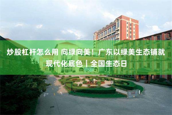 炒股杠杆怎么用 向绿向美！广东以绿美生态铺就现代化底色｜全国生态日