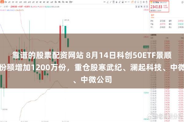靠谱的股票配资网站 8月14日科创50ETF景顺基金份额增加1200万份，重仓股寒武纪、澜起科技、中微公司
