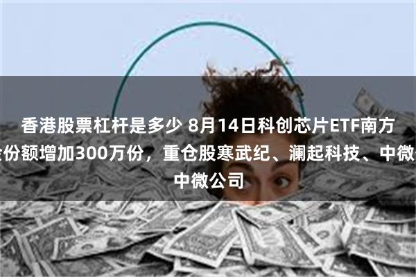 香港股票杠杆是多少 8月14日科创芯片ETF南方基金份额增加300万份，重仓股寒武纪、澜起科技、中微公司