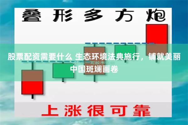 股票配资需要什么 生态环境法典施行，铺就美丽中国斑斓画卷